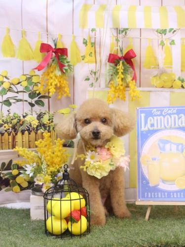 20240412のえるくん